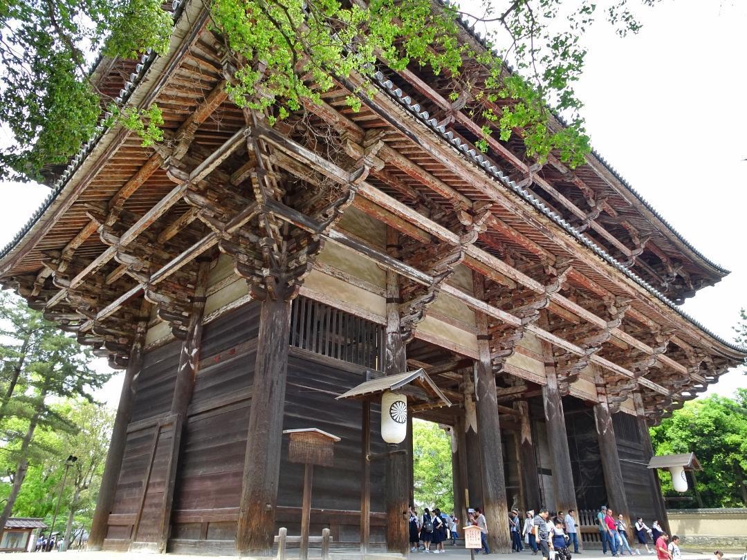 引き続き新緑の奈良公園 東大寺逍遥 初夏の奈良旅行 旅のしおり後篇 三位一体節後１ バッハ カンタータ日記